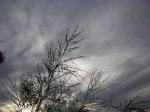 cielos1465.jpg