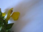Imagen016.jpg