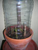 DSCN1976.jpg