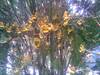 Imagen0121.jpg