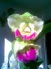 Imagen0044.jpg
