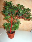 DSC02110.JPG