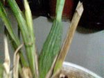 Imagen027.jpg