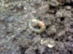 DSC00165.JPG