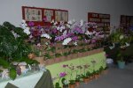 chicaventa02.jpg