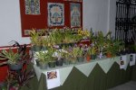 chicaventa04.jpg