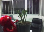 15-02-06_1734.jpg