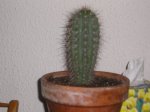 P101001d6.JPG