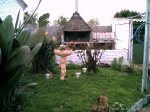 jardin al fondoB.jpg