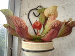 flor.JPG