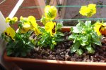 DSC02144.JPG