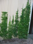 100-0069_IMG.jpg