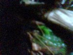 Imagen029.jpg