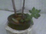 Photo0005.jpg