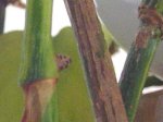 Picture 002.jpg