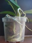 Dsc02440.jpg