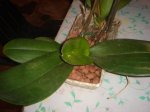 Dsc02444.jpg