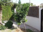 100_2725.JPG