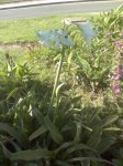 DSC00168.JPG