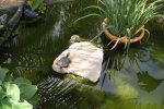 IMG_5374.jpg