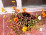 DSCN3320.JPG