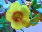 DSCN3323.JPG