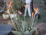 IMG_0683.JPG