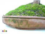KIF_2093.jpg
