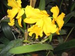 150_5059.JPG