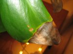 IMG_3957.jpg
