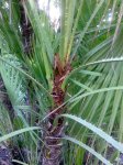 Imagen0243.jpg