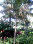 Imagen0263.jpg