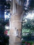 Imagen0272.jpg