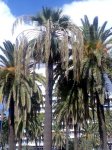 Imagen0293.jpg