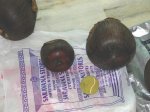 post-1-30983-pulmera_fruits_01.jpg
