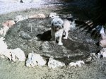 Imagen026.jpg