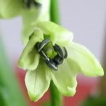 nagamorich011-1.jpg