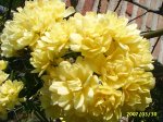 15deabril_082.jpg