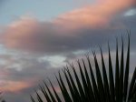 cielos1763.jpg