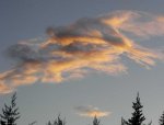 cielos1770.jpg