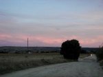camino27.jpg