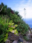 IMG_11321.jpg