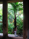 IMG_1064.jpg