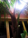 IMG_1073.jpg