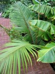 IMG_1087.jpg