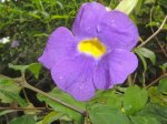 DSCF1922.jpg