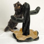 cat_cactus-lg.jpg