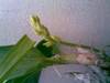 Imagen082.jpg