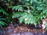 IMG_13051.jpg