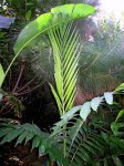 IMG_1264.jpg